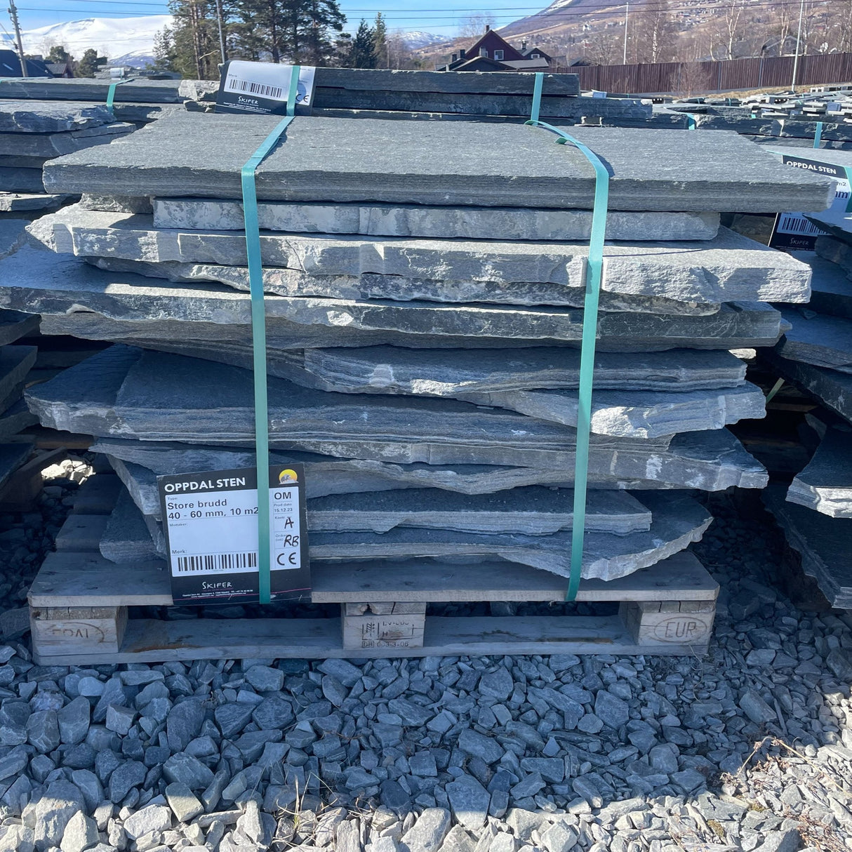 Mørk Oppdal Mellombrudd