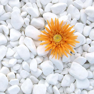 Elvesingel/Elvestein