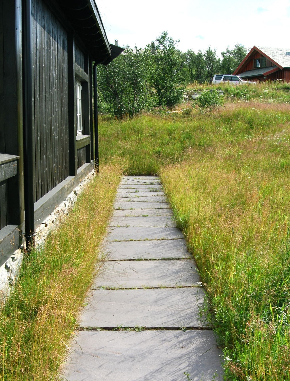 Mørk Oppdal Tråkkheller 40x60, hel pall 15,36 m2