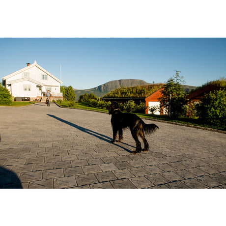 Asak Relieff Kvadrat XXL er en stor belegningsstein med rette linjer og en myk struktur i overflaten som gir liv til dekket. Asak Relieff gir et moderne og solid dekke som krever minimalt med vedlikehold. Relieff passer både til ny og moderne byggestil, men også i mer klassiske omgivelser. Kan kombineres med andre formater i samme serie. 